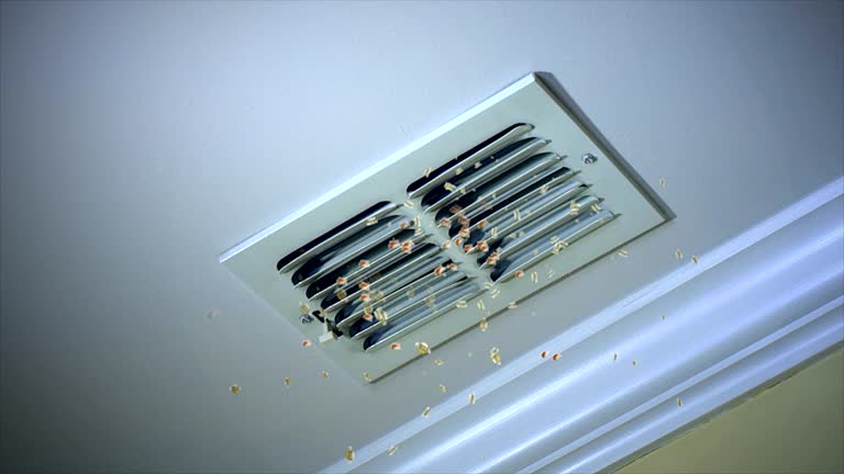 Best Professional Duct Cleaning Services  in Third Lake, IL