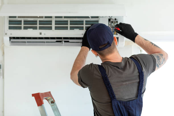 Best Air Duct Sanitizing Services  in Third Lake, IL