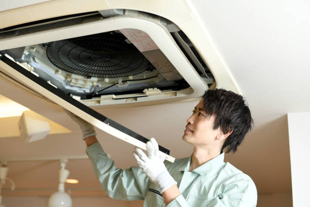 Best Affordable HVAC Duct Cleaning  in Third Lake, IL
