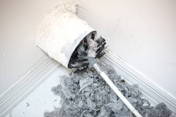Best Duct Cleaning Specialists  in Third Lake, IL
