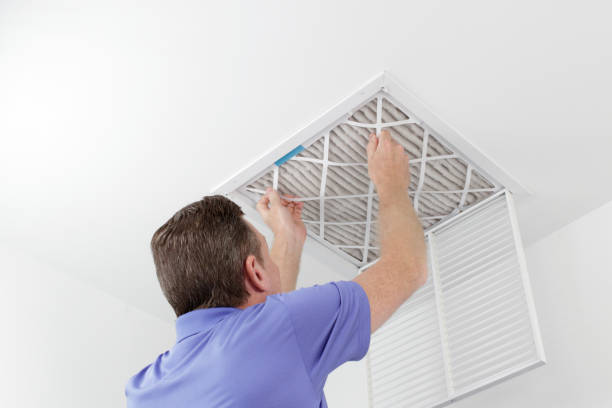 Best Affordable Air Duct Cleaning  in Third Lake, IL